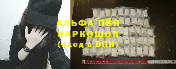 хмурый Сосновый Бор