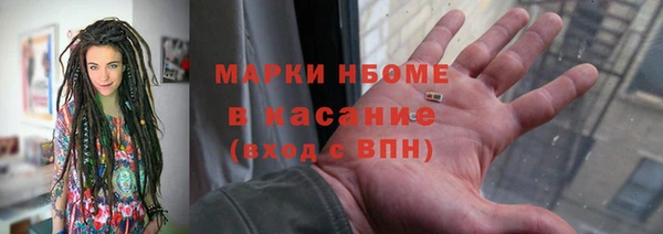 хмурый Сосновый Бор