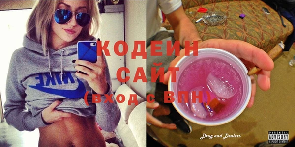 хмурый Сосновый Бор