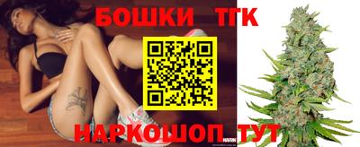 гашик Донской