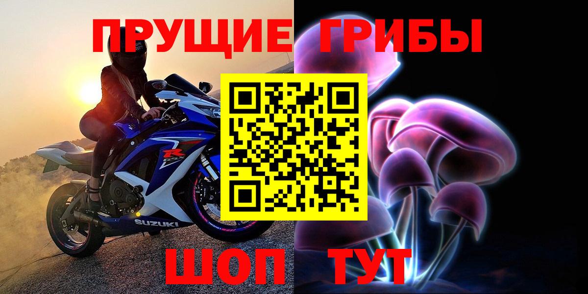 Галлюциногенные грибы Cubensis Можайск