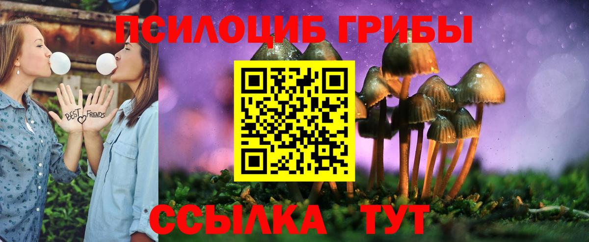 Псилоцибиновые грибы мухоморы  Вход с VPN  Можайск  Галлюциногенные грибы Cubensis 
